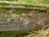 image of grave number 174314